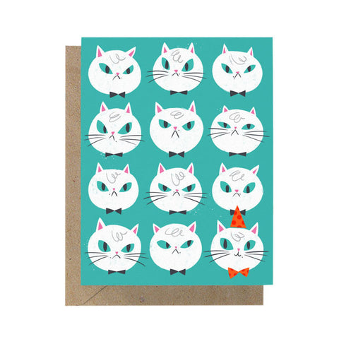 Angry Cats Birthday Card